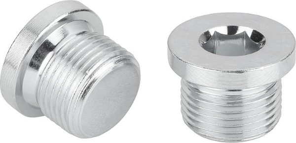 K1130 Screw Plugs With Collar And Hexagon Socket