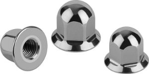 K1328 Stainless Steel Cap Nuts With Collar